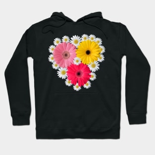 gerbera daisies in bloom daisy flower blossoms Hoodie